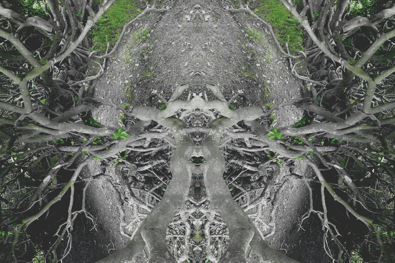 Não-natural 42 (foto manipulada digitalmente) de Giovanni Cafagna