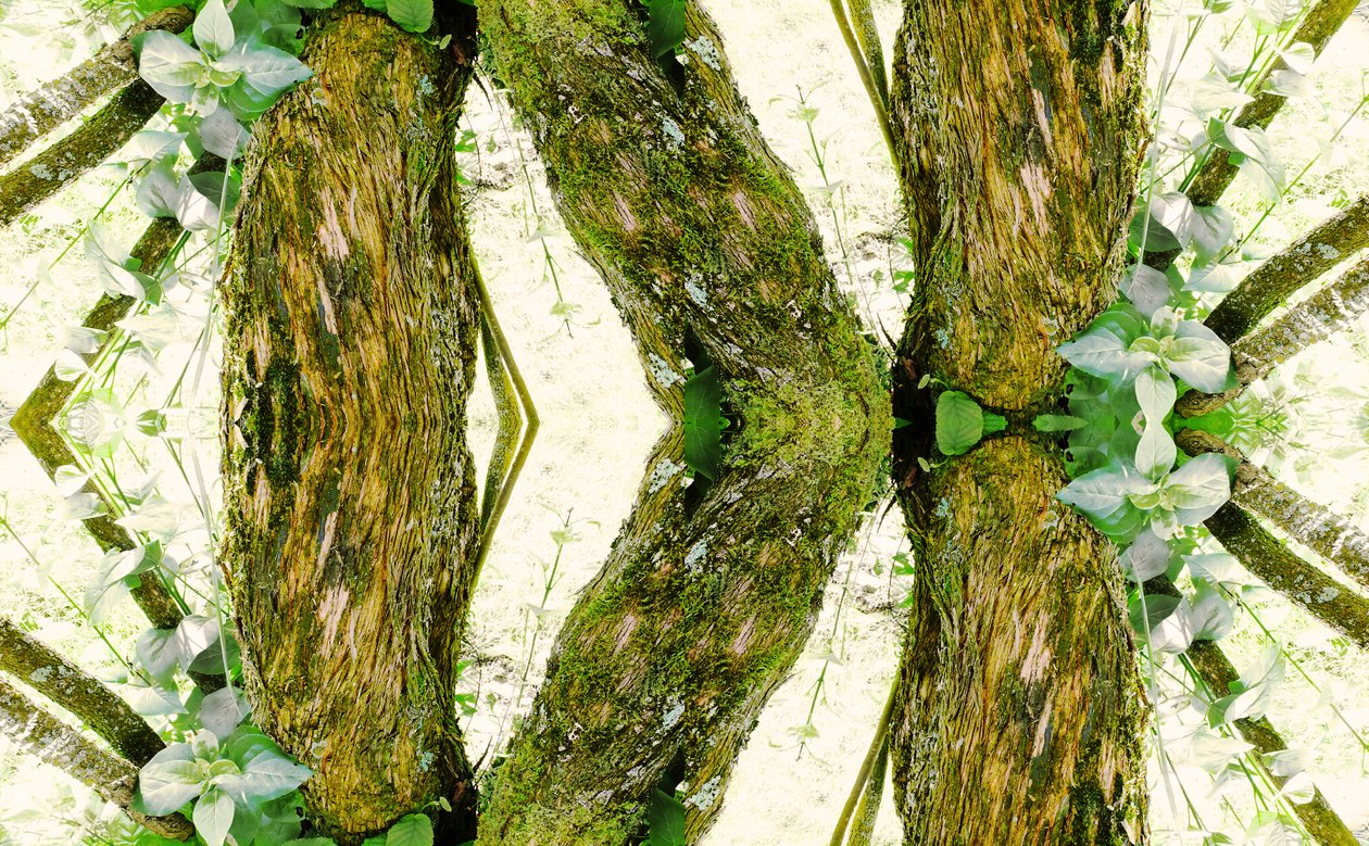 Não natural 45 (foto manipulada digitalmente) de Giovanni Cafagna