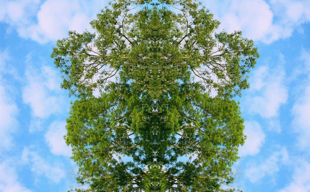 Não-natural 46 (foto manipulada digitalmente) de Giovanni Cafagna