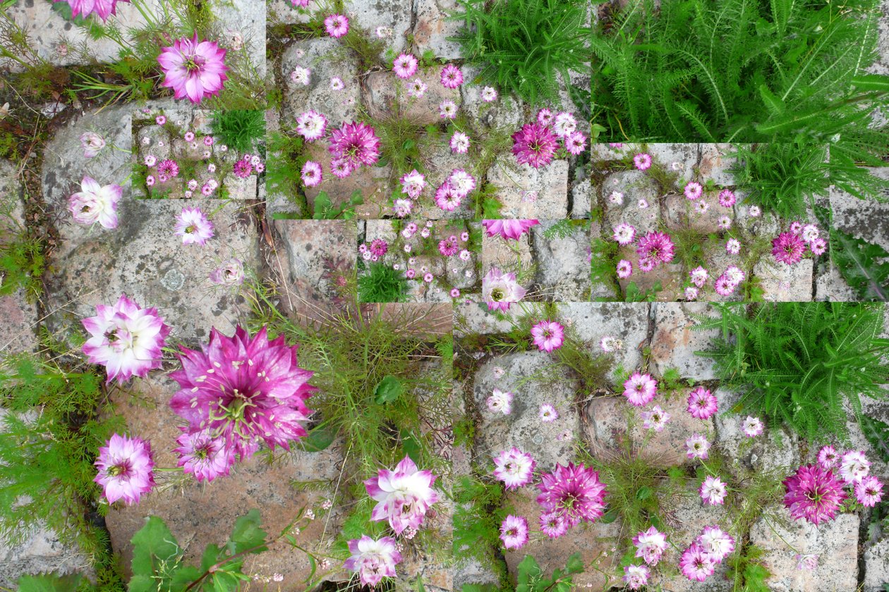 Não natural 60 (foto manipulada digitalmente) de Giovanni Cafagna