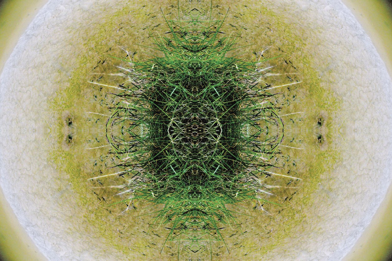 Não-natural 6.1 (foto manipulada digitalmente) de Giovanni Cafagna