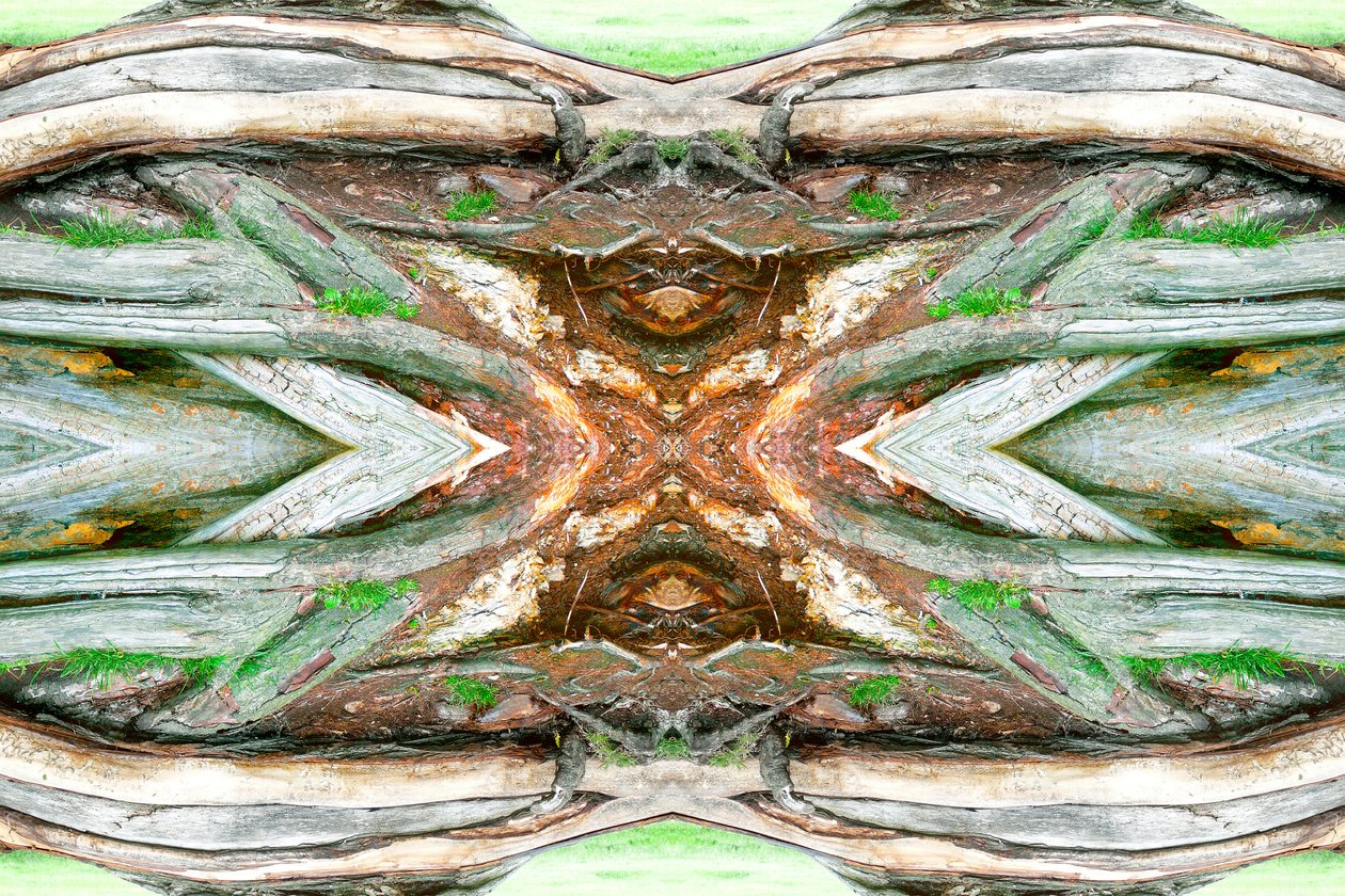 Não natural 64 (foto manipulada digitalmente) de Giovanni Cafagna