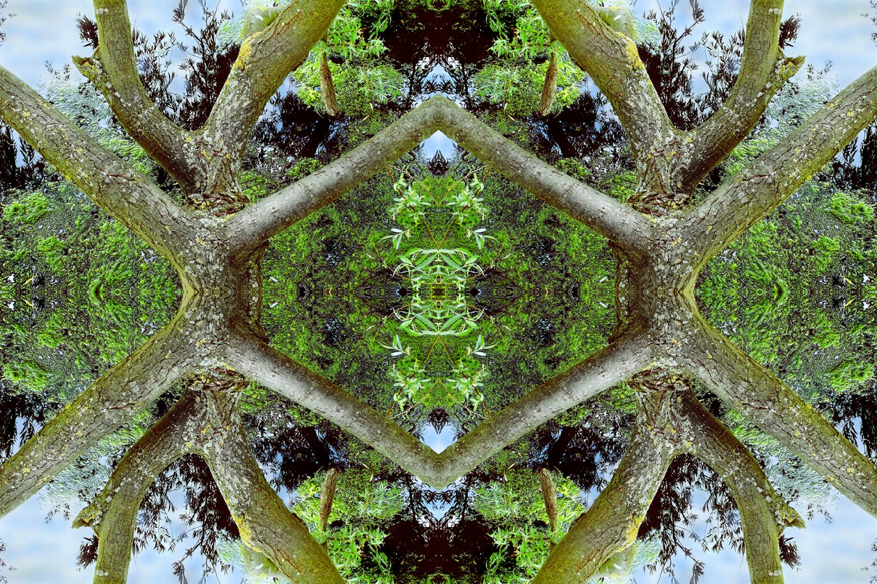 Não-natural 65.2 (foto manipulada digitalmente) de Giovanni Cafagna