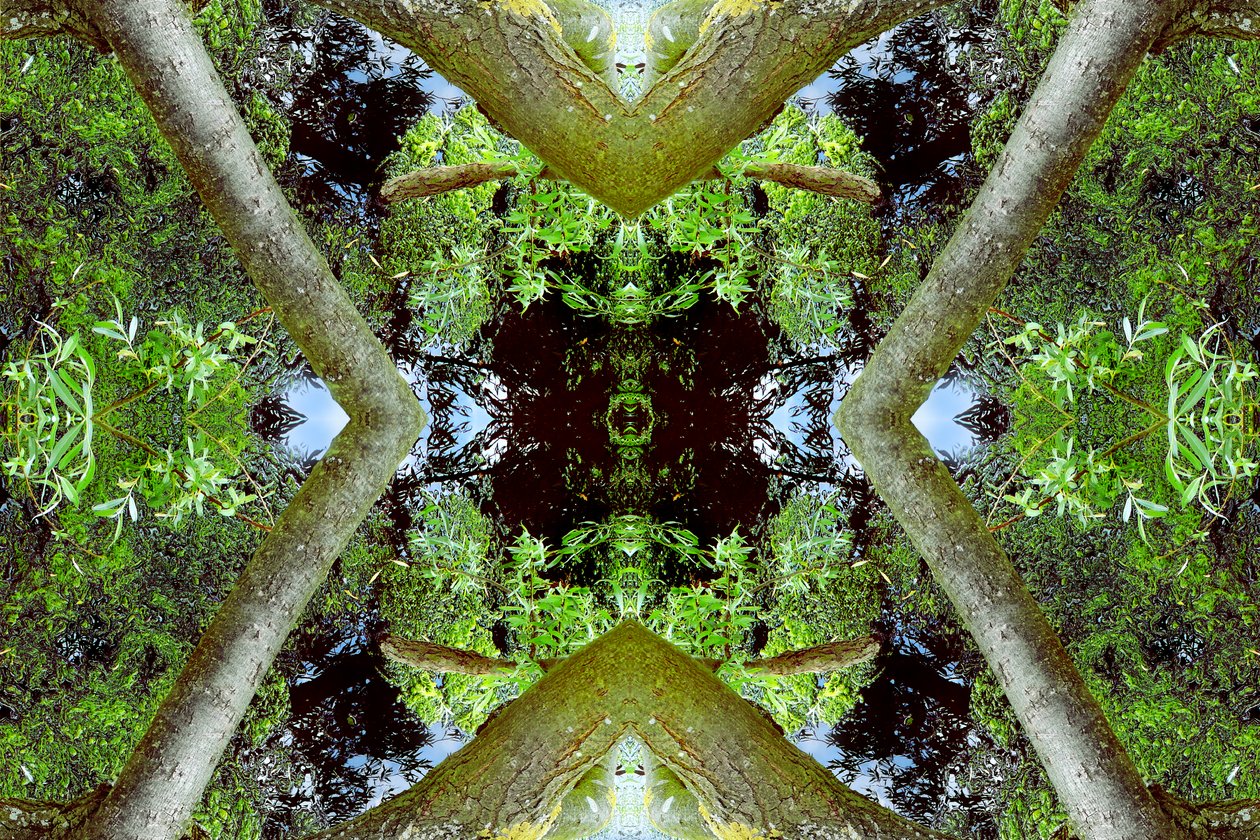 Não natural 65.3 (foto manipulada digitalmente) de Giovanni Cafagna