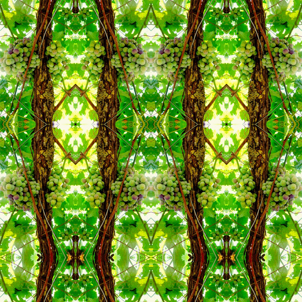 Não-natural 74 (foto manipulada digitalmente) de Giovanni Cafagna