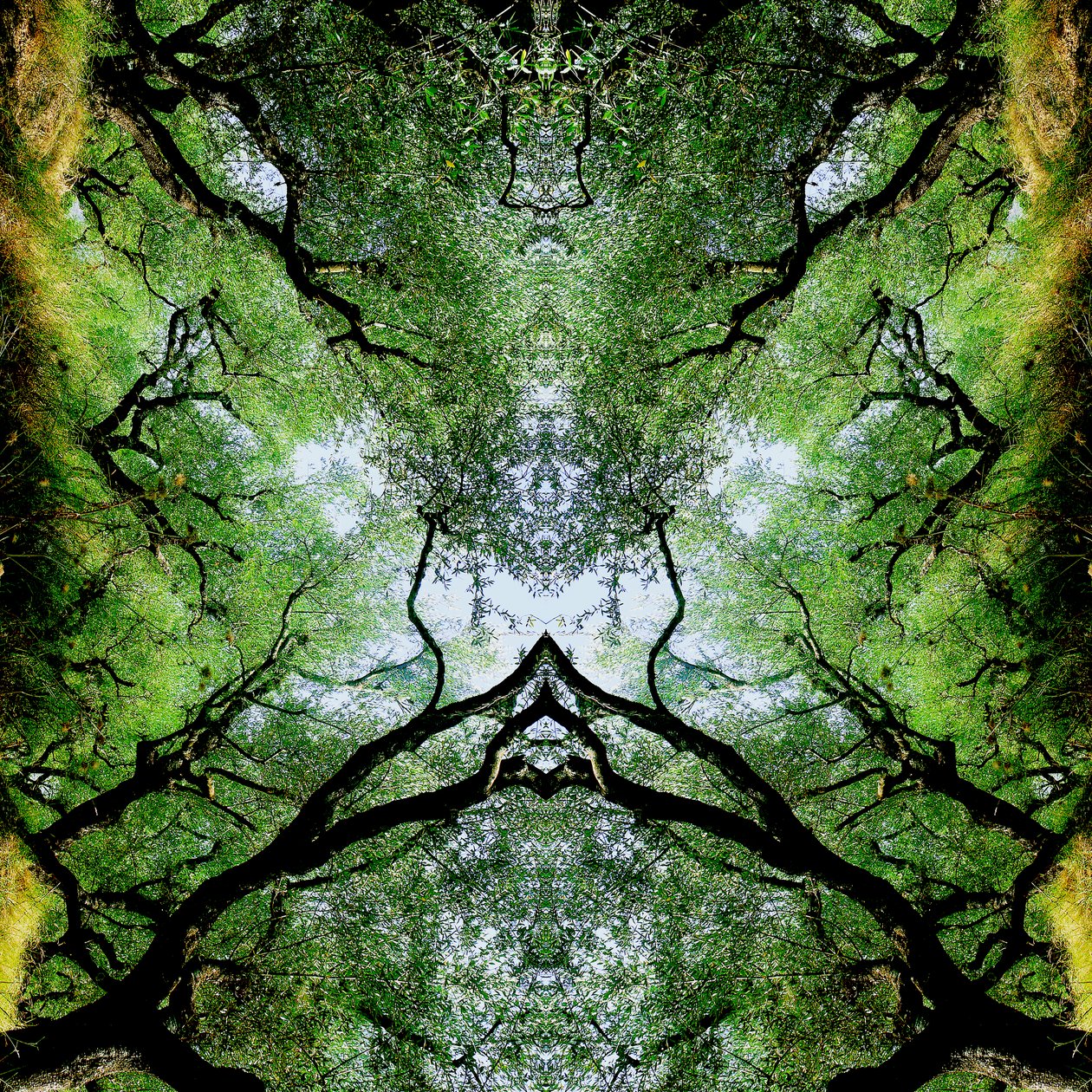 Não natural 75 (foto manipulada digitalmente) de Giovanni Cafagna