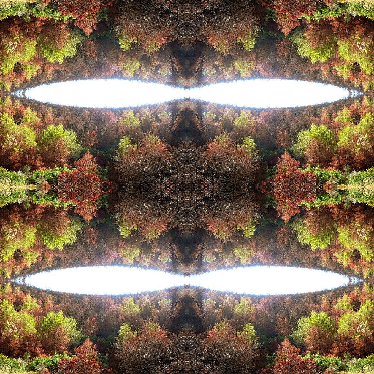 Não-natural 77.1 (foto manipulada digitalmente) de Giovanni Cafagna