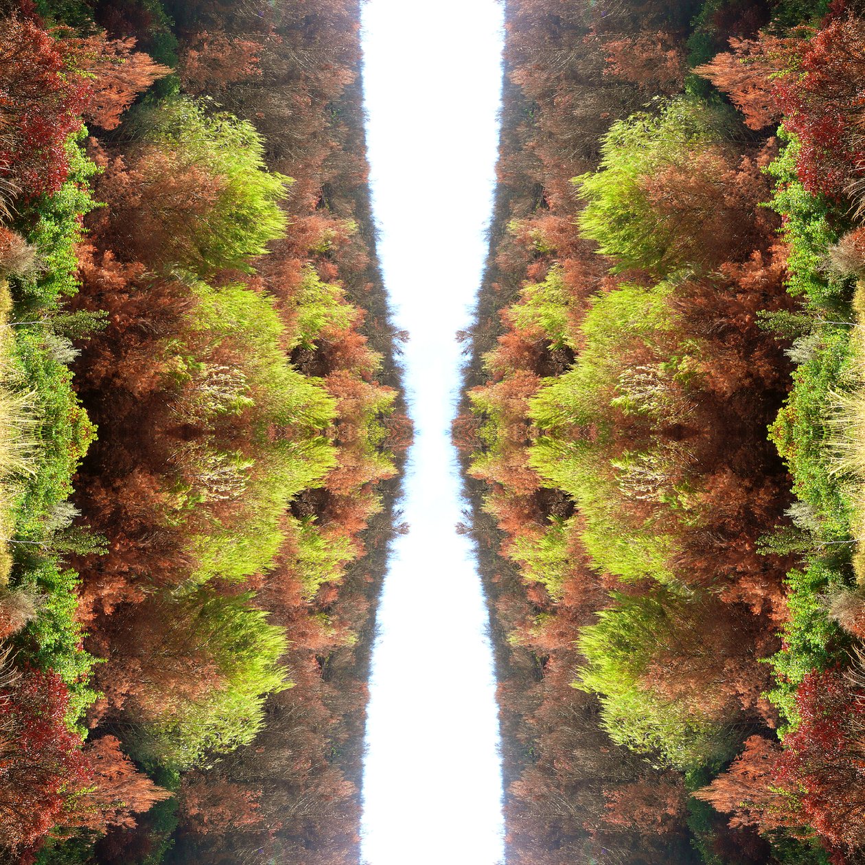 Não natural 77 (foto manipulada digitalmente) de Giovanni Cafagna