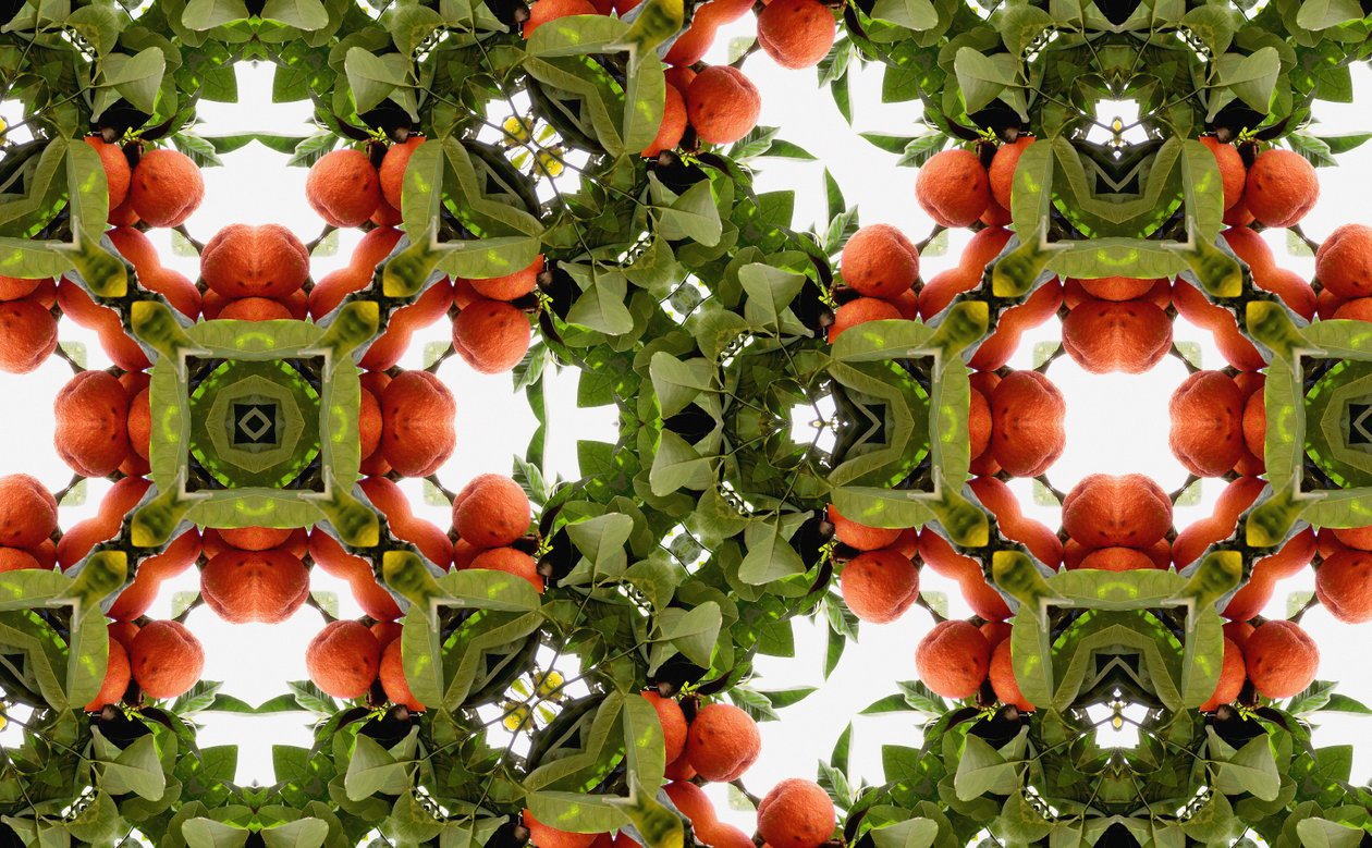 Não natural 77 (foto manipulada digitalmente) de Giovanni Cafagna