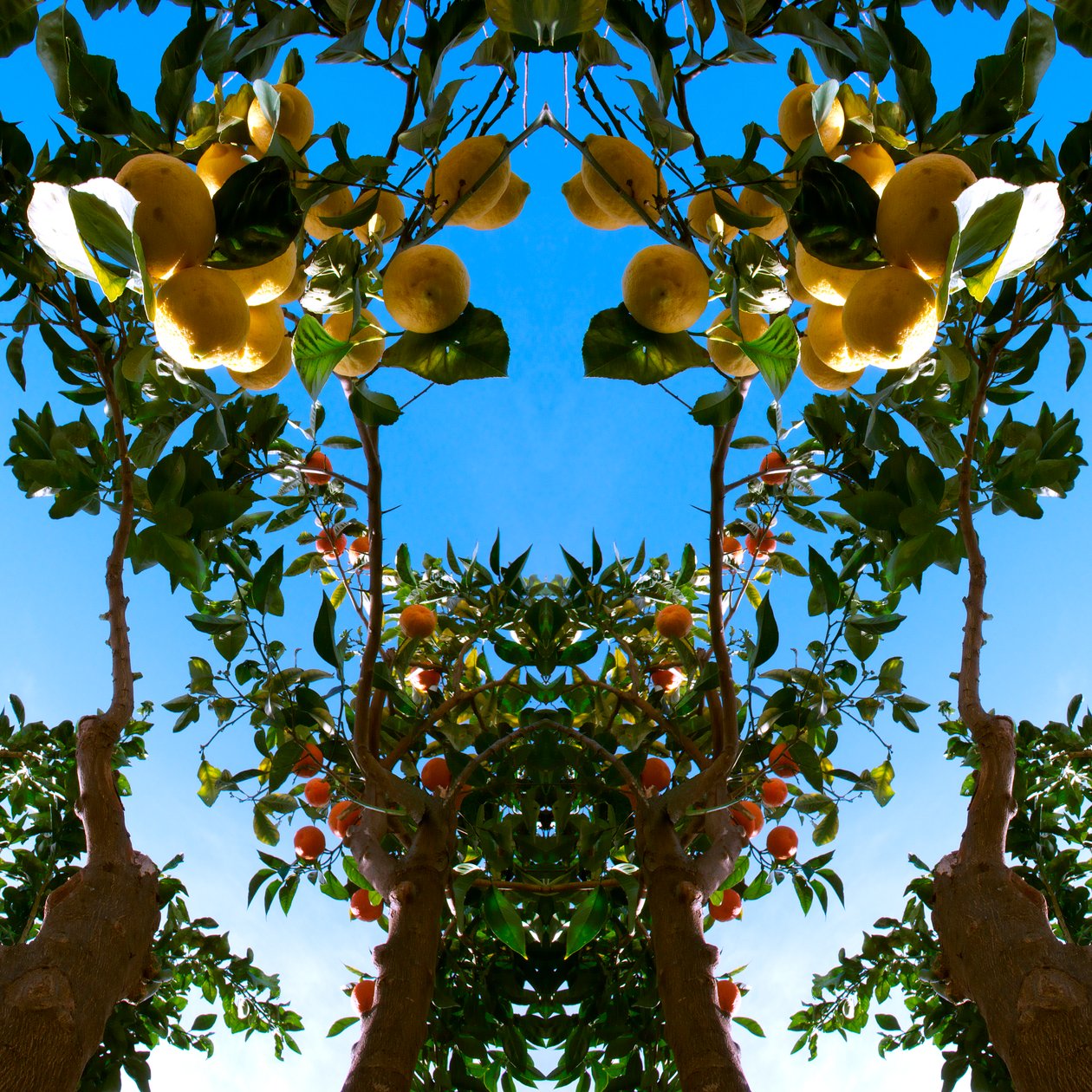 Não-natural 78 (foto manipulada digitalmente) de Giovanni Cafagna