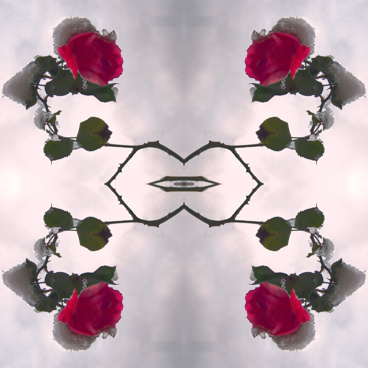 Não natural 80 (foto manipulada digitalmente) de Giovanni Cafagna