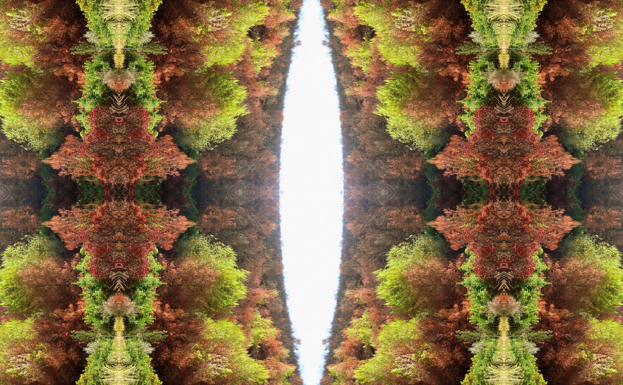Não-natural 81 (foto manipulada digitalmente) de Giovanni Cafagna