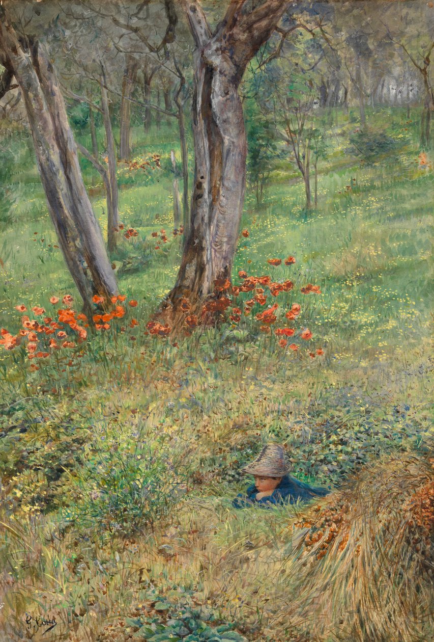 Um esconderijo da floresta (wc no papel) de Giovanni Costa