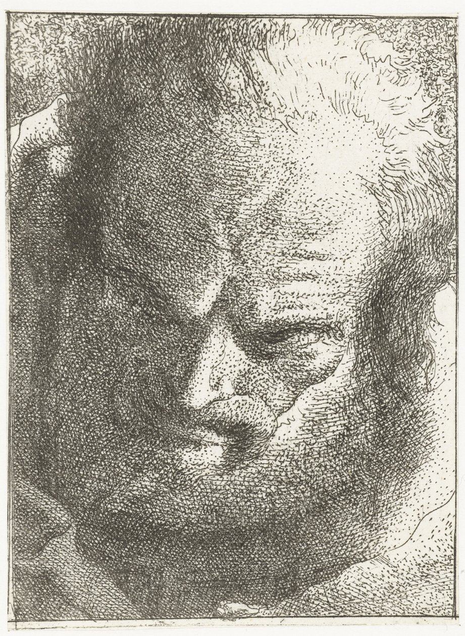 Homem olhando para baixo Coleção de cabeças (título da série) Raccolta di Teste (título da série) de Giovanni Domenico Tiepolo