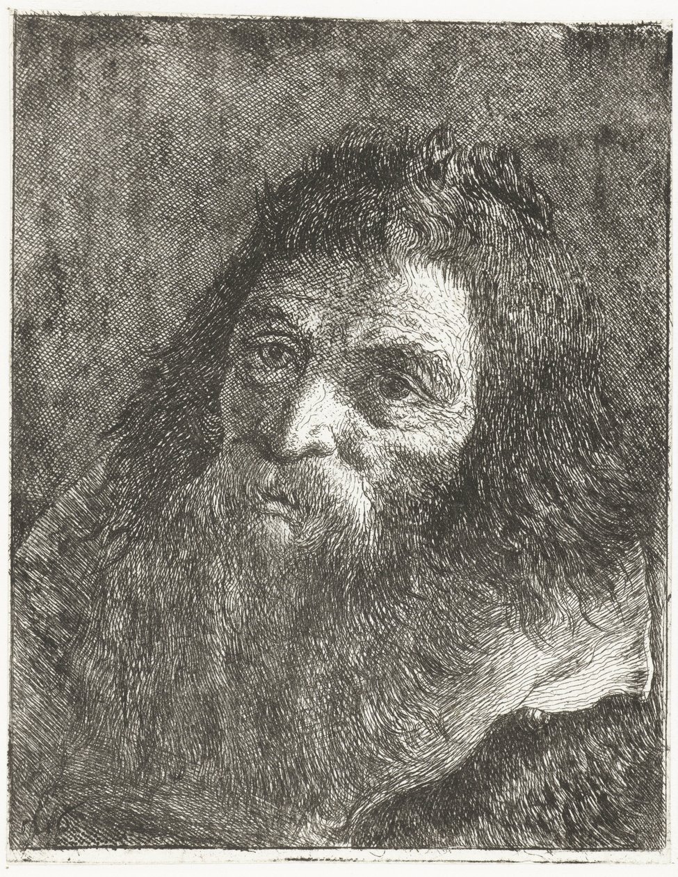 Homem de cabelo comprido e barba de Giovanni Domenico Tiepolo