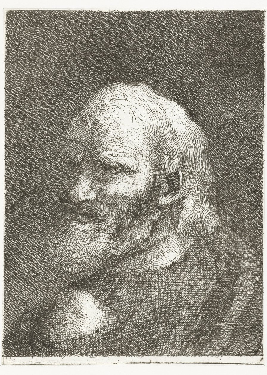 Homem com ombro nu Coleção de cabeças (título da série) Raccolta di Teste (título da série) de Giovanni Domenico Tiepolo