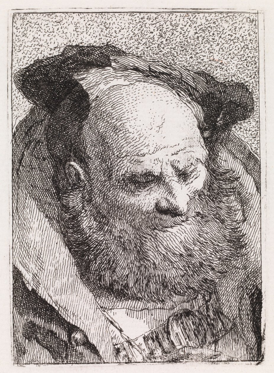Ancião com barba de Giovanni Domenico Tiepolo