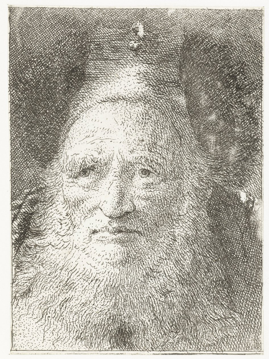 Velho com chapéu de pele
Colecção de cabeças (título da série)
Raccolta di Teste (título da série) de Giovanni Domenico Tiepolo