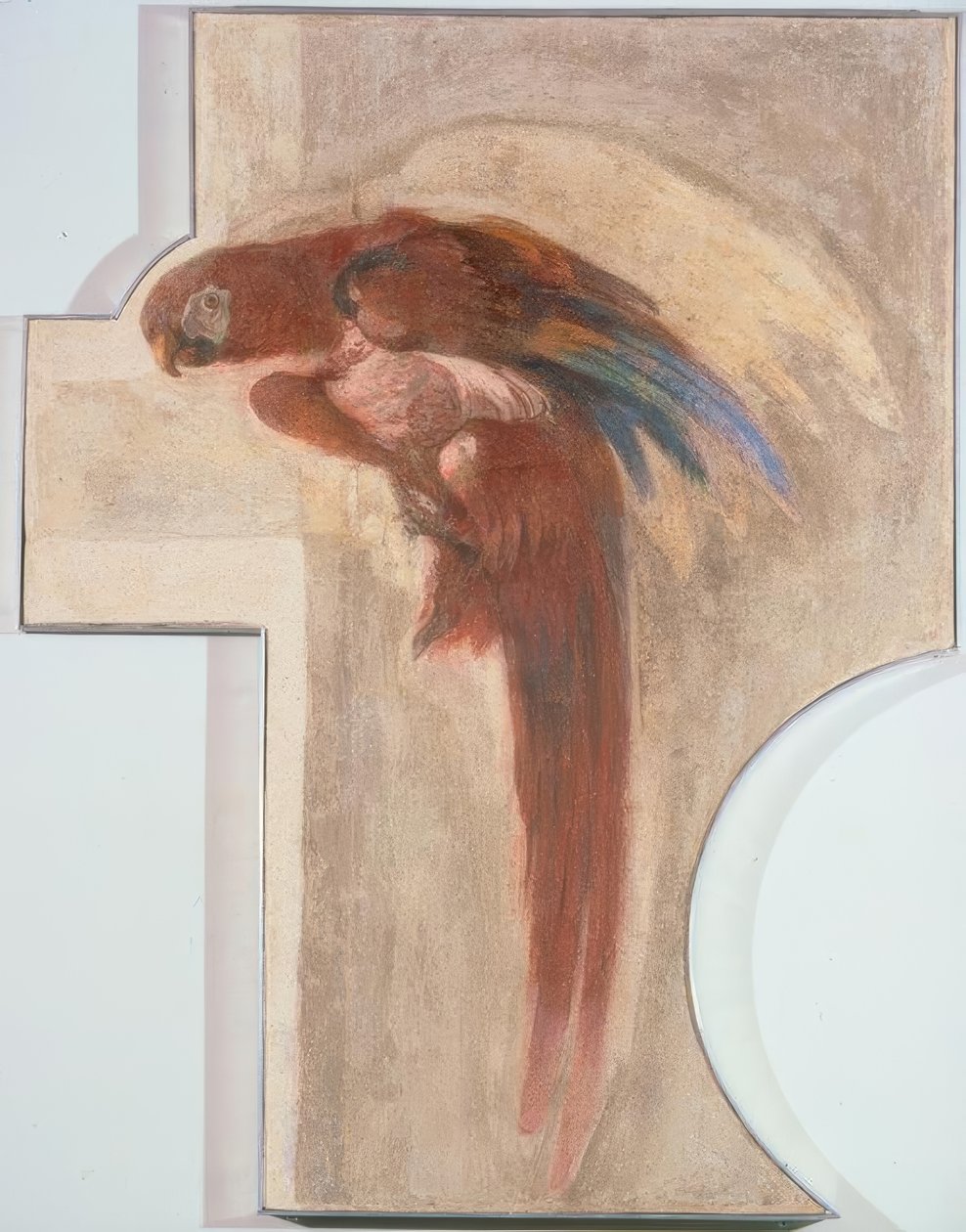 papagaio de Giovanni Domenico Tiepolo