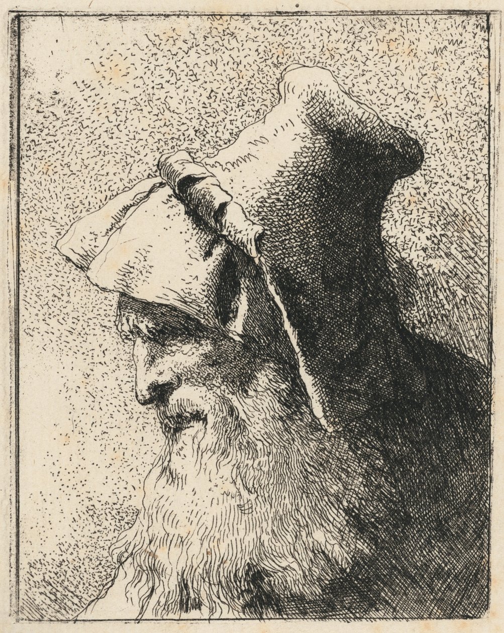 Perfil de um velho com barba de Giovanni Domenico Tiepolo