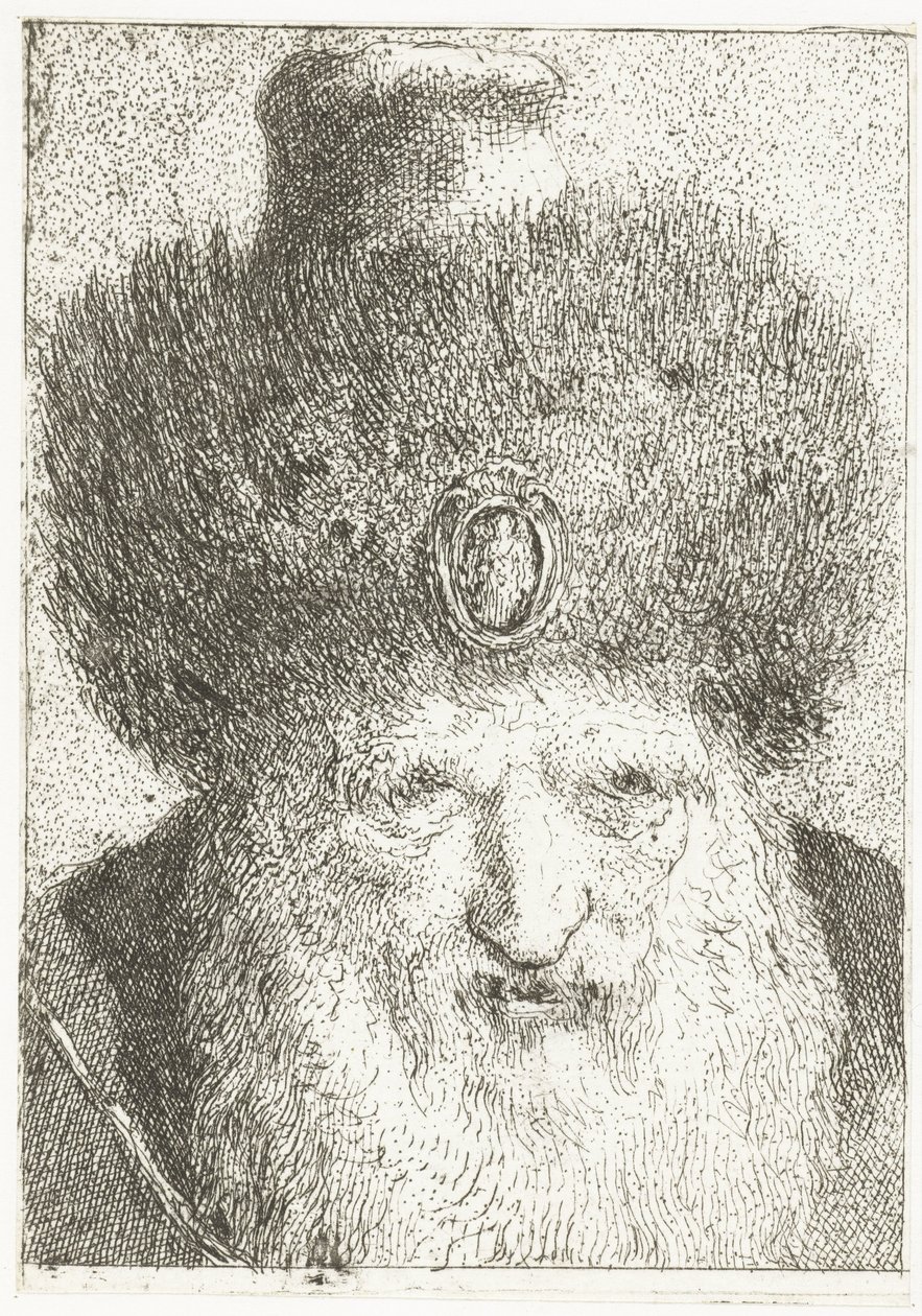 Homem turco com chapéu de pele Coleção de cabeças (título da série) Raccolta di Teste (título da série) de Giovanni Domenico Tiepolo