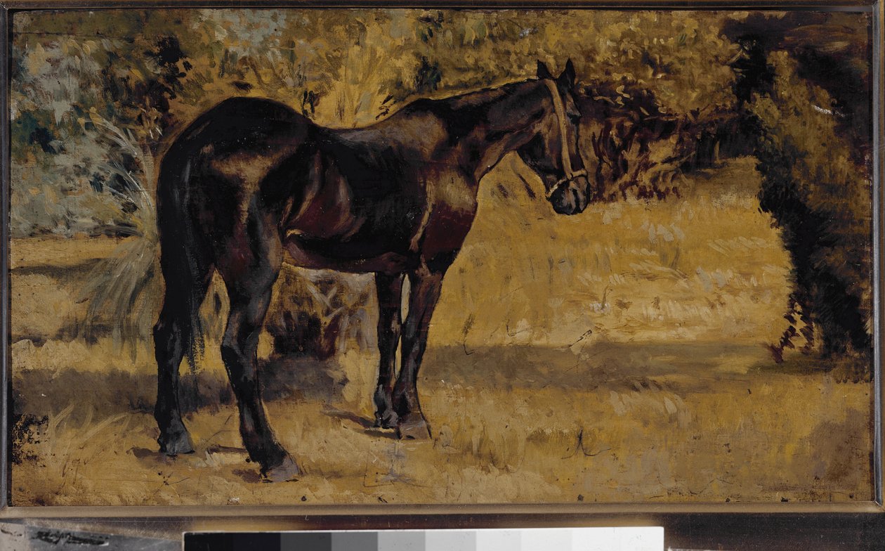 Cavalo escuro (óleo sobre tela de Giovanni Fattori