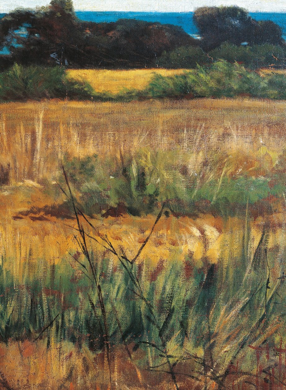 Itália, Florença, Maremma Toscana, cerca de 1894, detalhe de Giovanni Fattori
