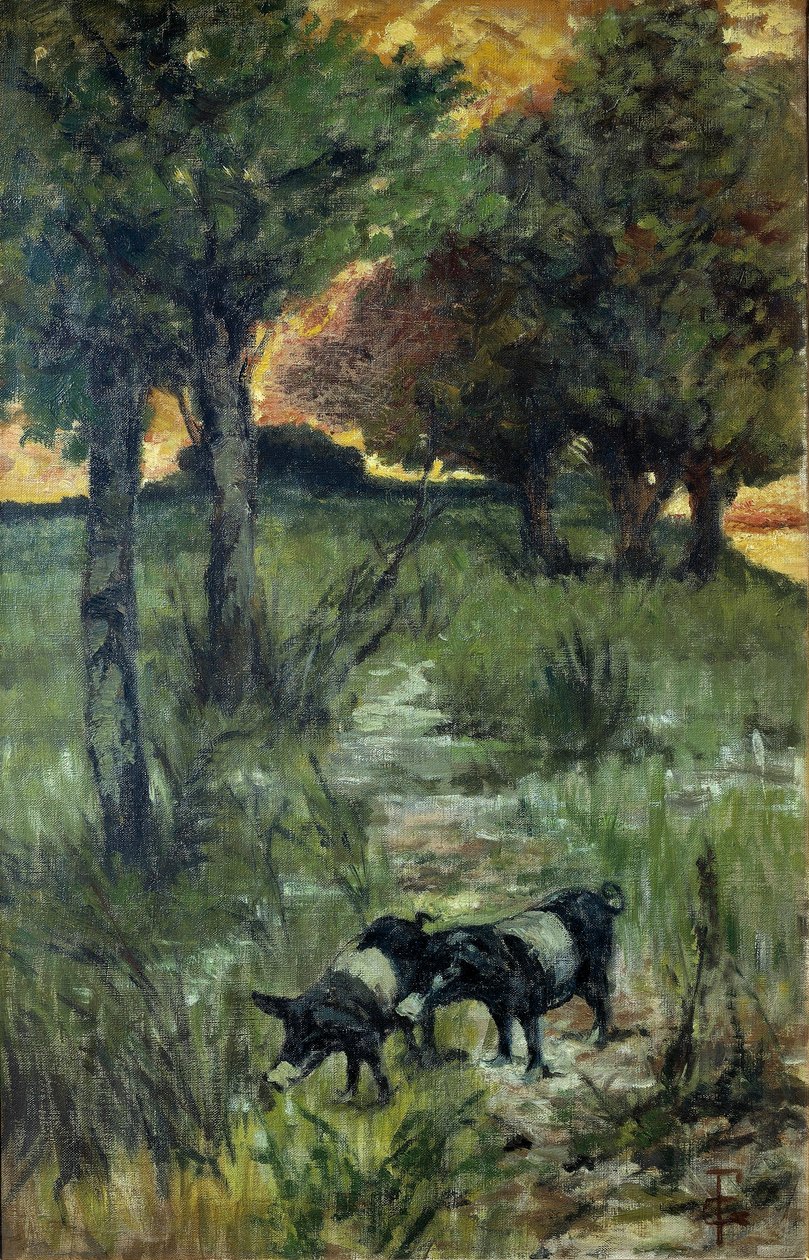 Itália, Florença, Porcos na pastagem de Giovanni Fattori