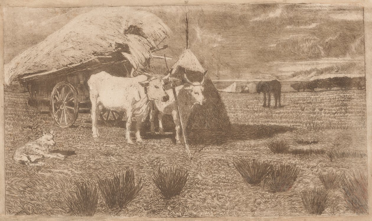 Bois atrelados a uma carroça (Maremma) (Bovi al carro (Maremma)) de Giovanni Fattori