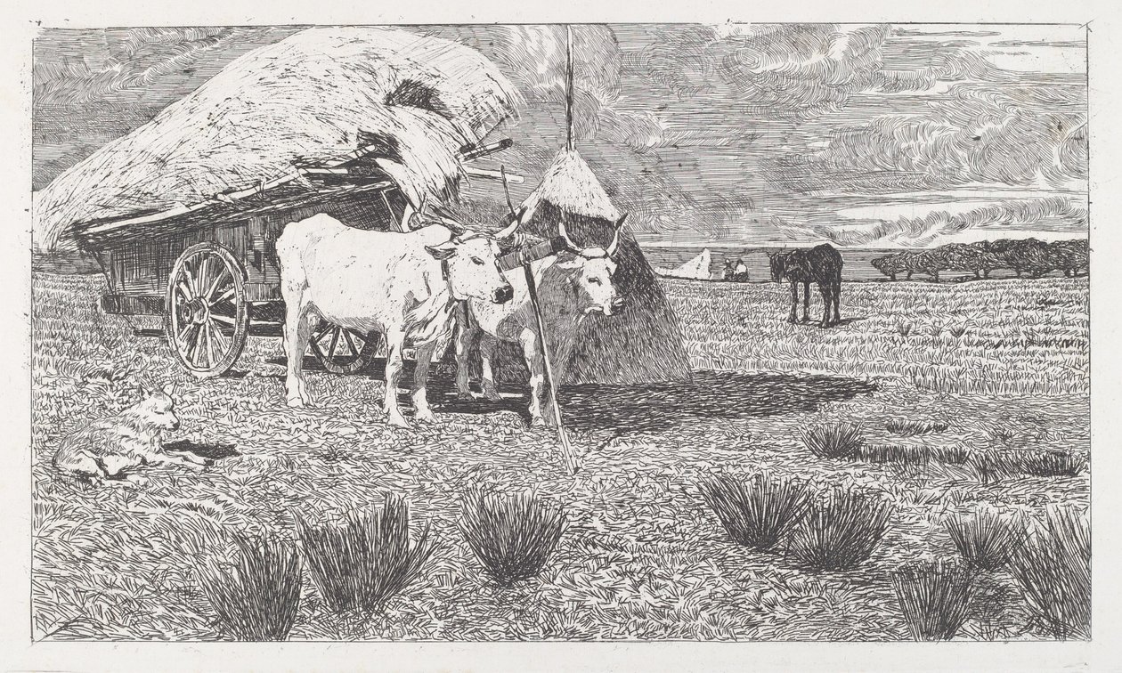 Bois atrelados a uma carroça (Maremma) de Giovanni Fattori