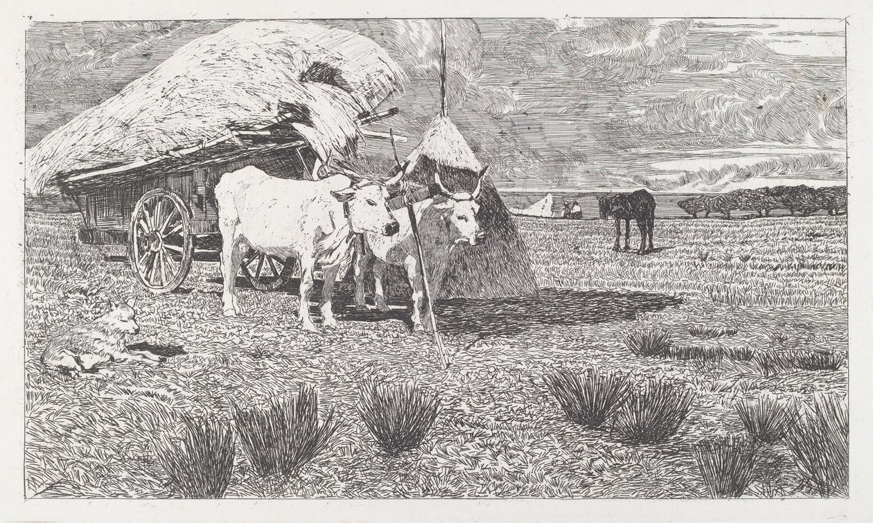 Boi atrelado à carroça (Maremma) [Bovi al carro (Maremma)] de Giovanni Fattori