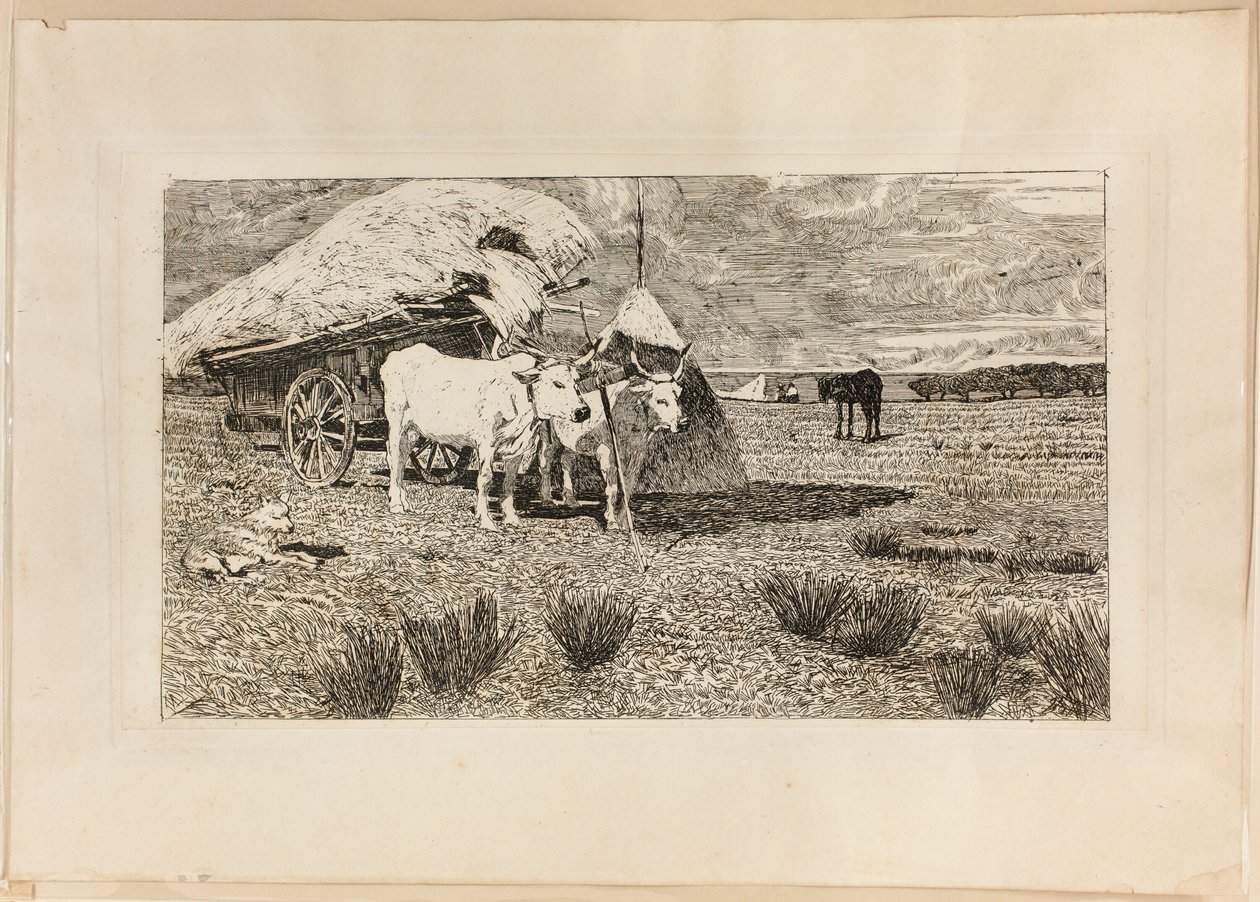 Bois e carroças (Maremma) de Giovanni Fattori