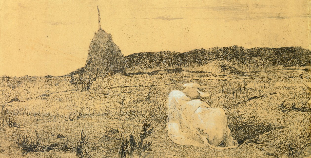 Pio Bove (Boi Pio ou Boi Pacífico) de Giovanni Fattori (1825-1908), gravura de Giovanni Fattori