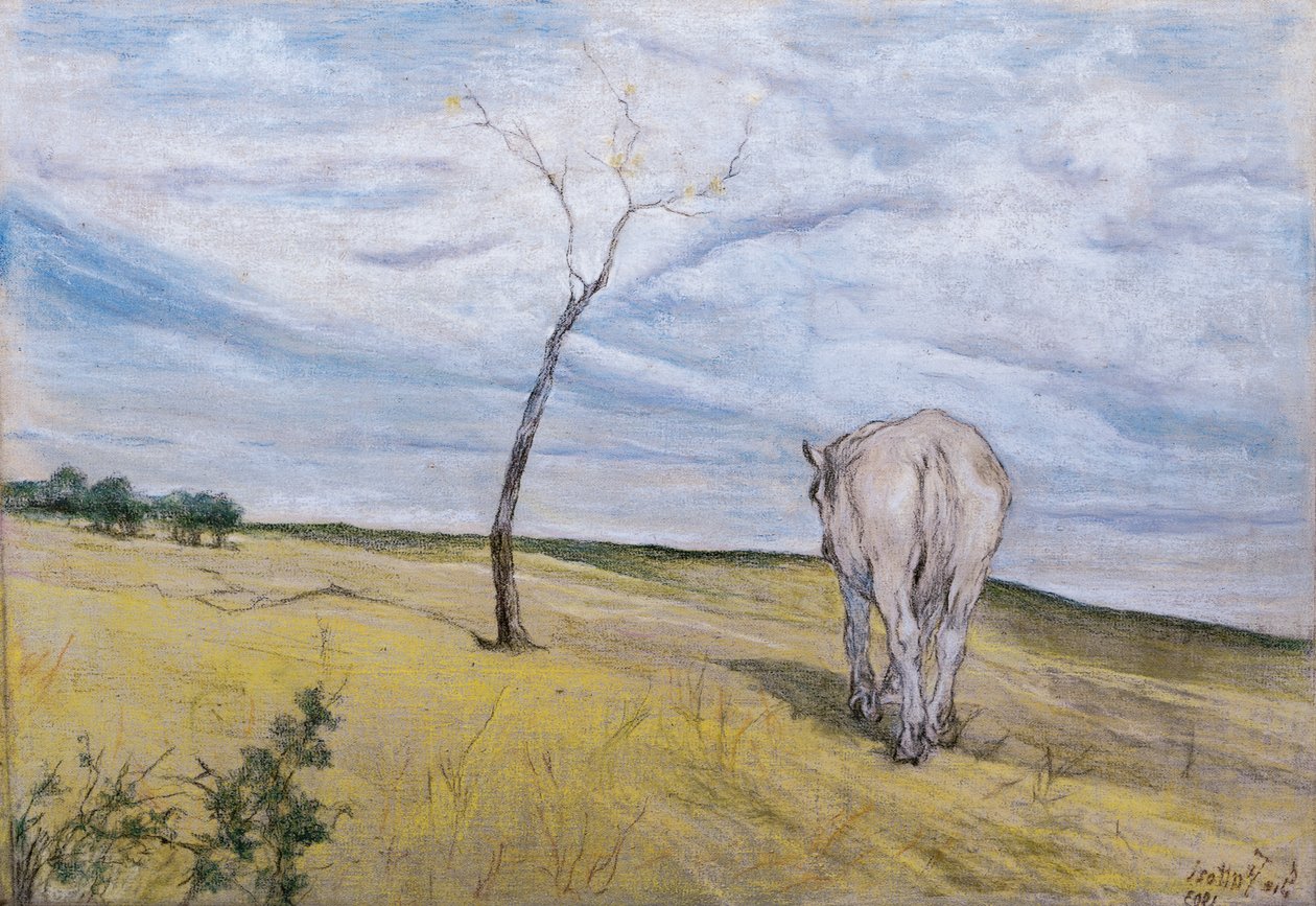 White Horse, de Giovanni Fattori (1825-1908) de Giovanni Fattori
