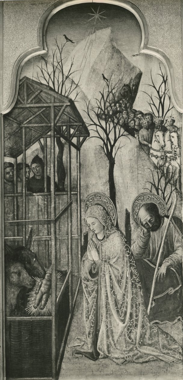 Ciclo da Vida da Virgem, Natividade, c.1445 (óleo sobre painel de álamo) de Giovanni Francesco da Rimini