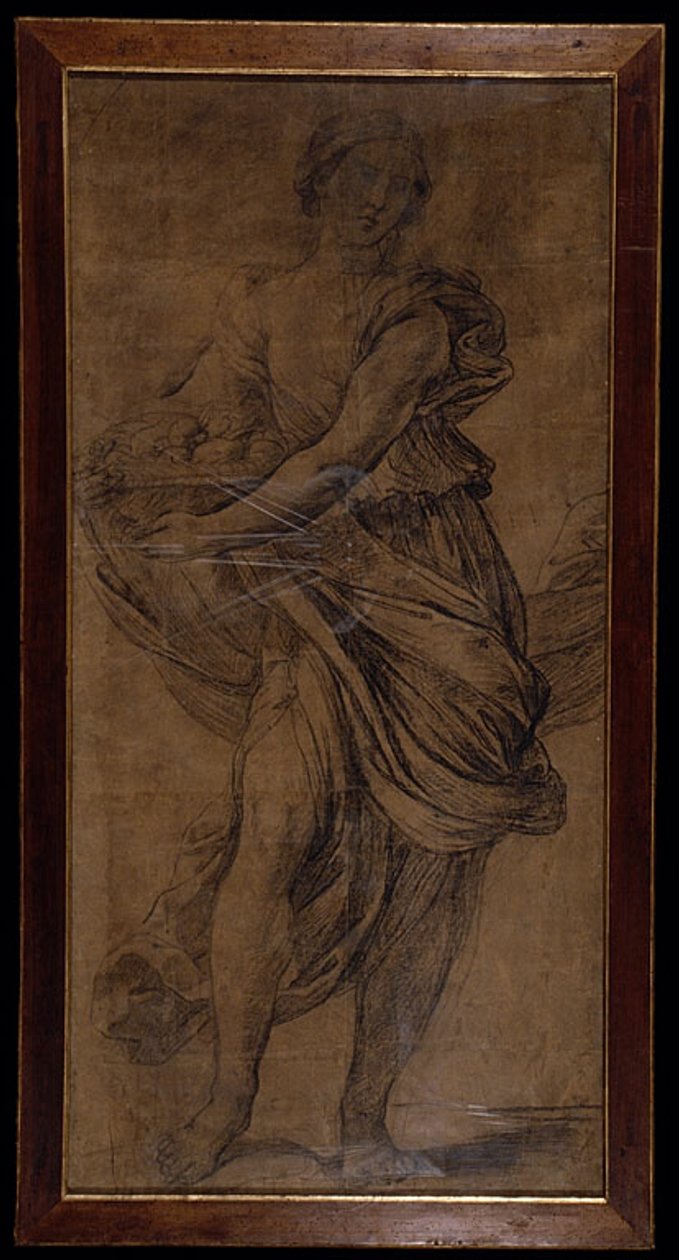 Pomona de Giovanni Giacomo Sementi