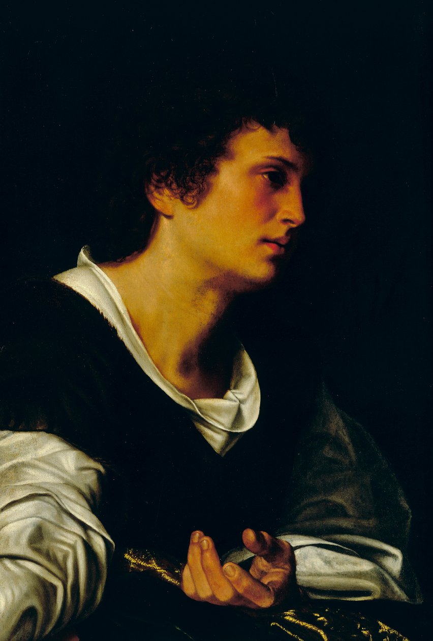 Figura de um jovem, c.1530 (óleo sobre tela) de Giovanni Girolamo Savoldo