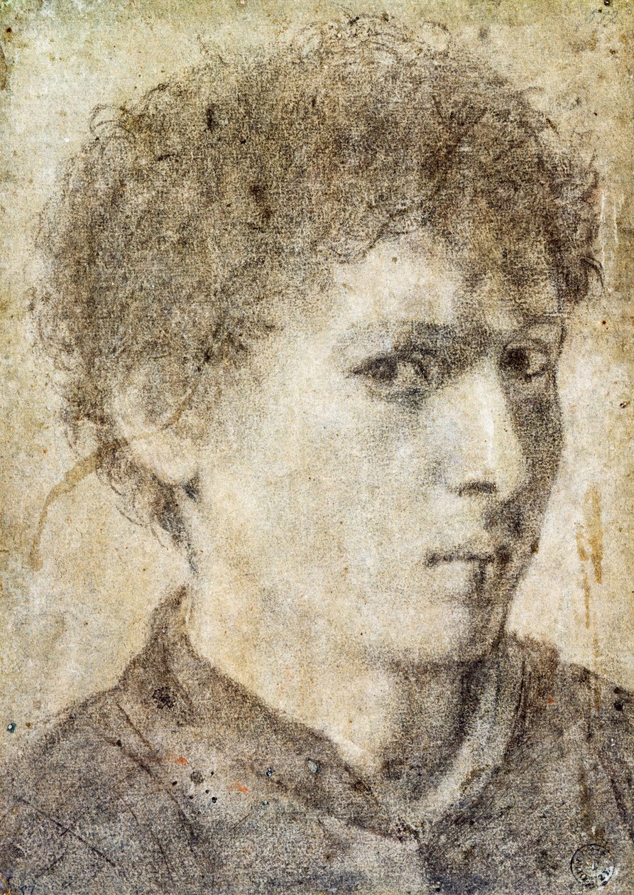 Cabeça de rapazinho, desenho de Gian Girolamo Savoldo (ca 1480-1548), lápis preto e giz branco, Itália de Giovanni Girolamo Savoldo