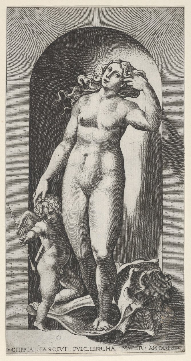 Gravura 10: Vênus em um nicho, de pé sobre uma concha, com Cupido à sua direita, de um ser..., 1526. de Giovanni Jacopo Caraglio