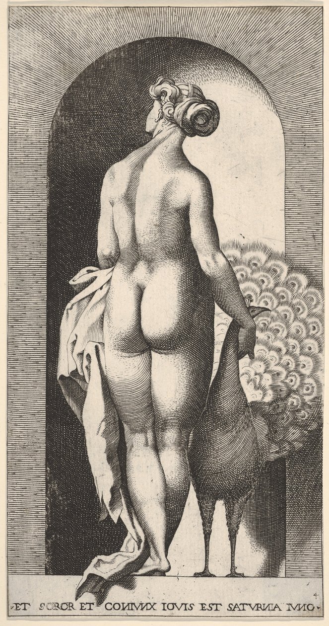 Ilustração 4: Juno em pé em um nicho, visto por trás, acariciando um pavão à sua direita, fr ..., 1526. de Giovanni Jacopo Caraglio