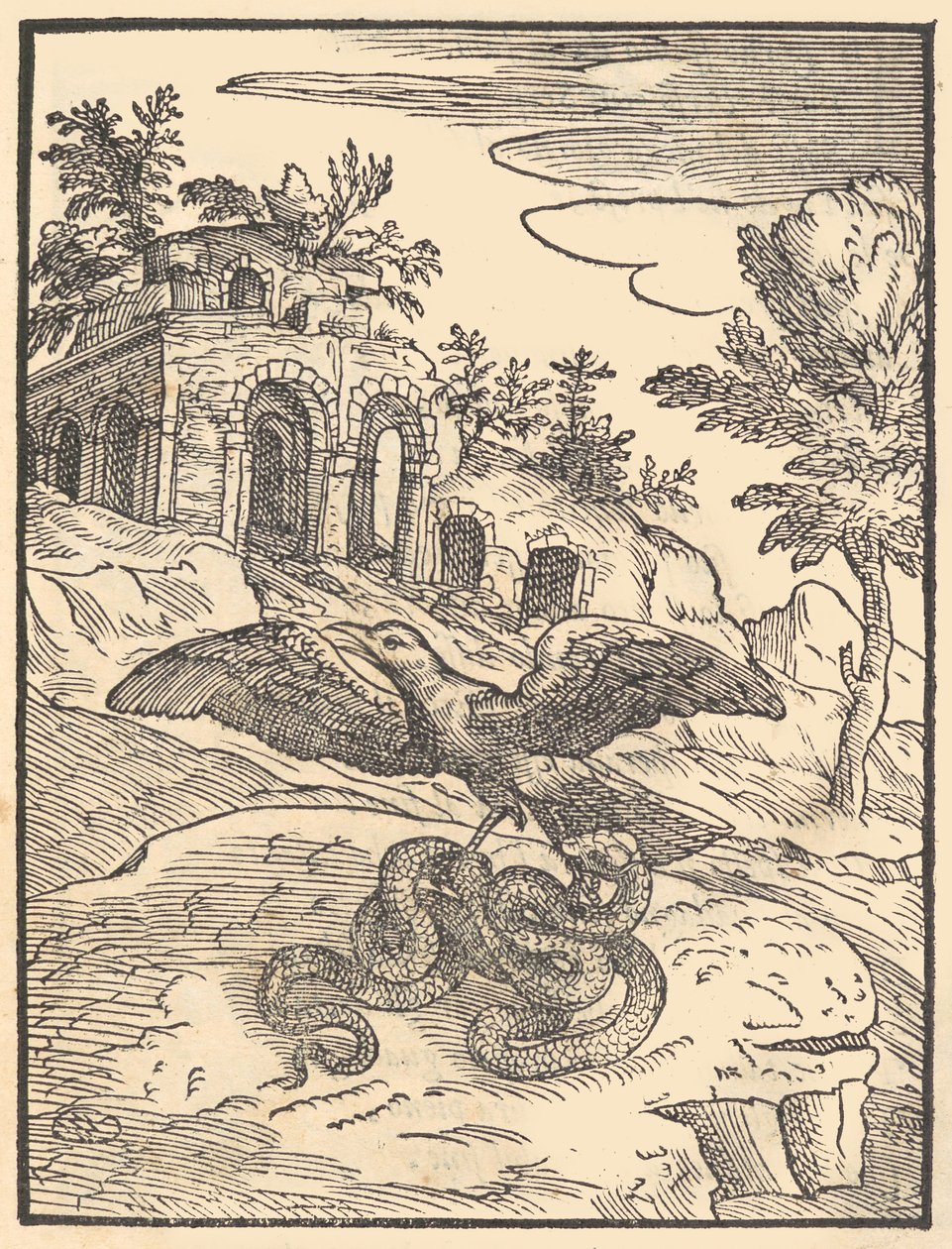 Pássaro e cobra, 1570. de Giovanni Maria Verdizotti