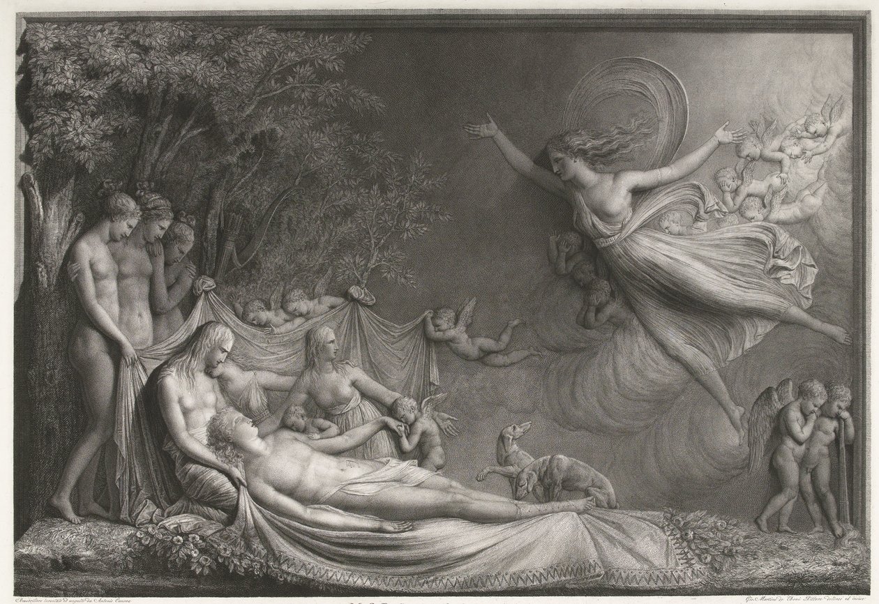 A Morte de Adónis de Giovanni Martino dei Boni