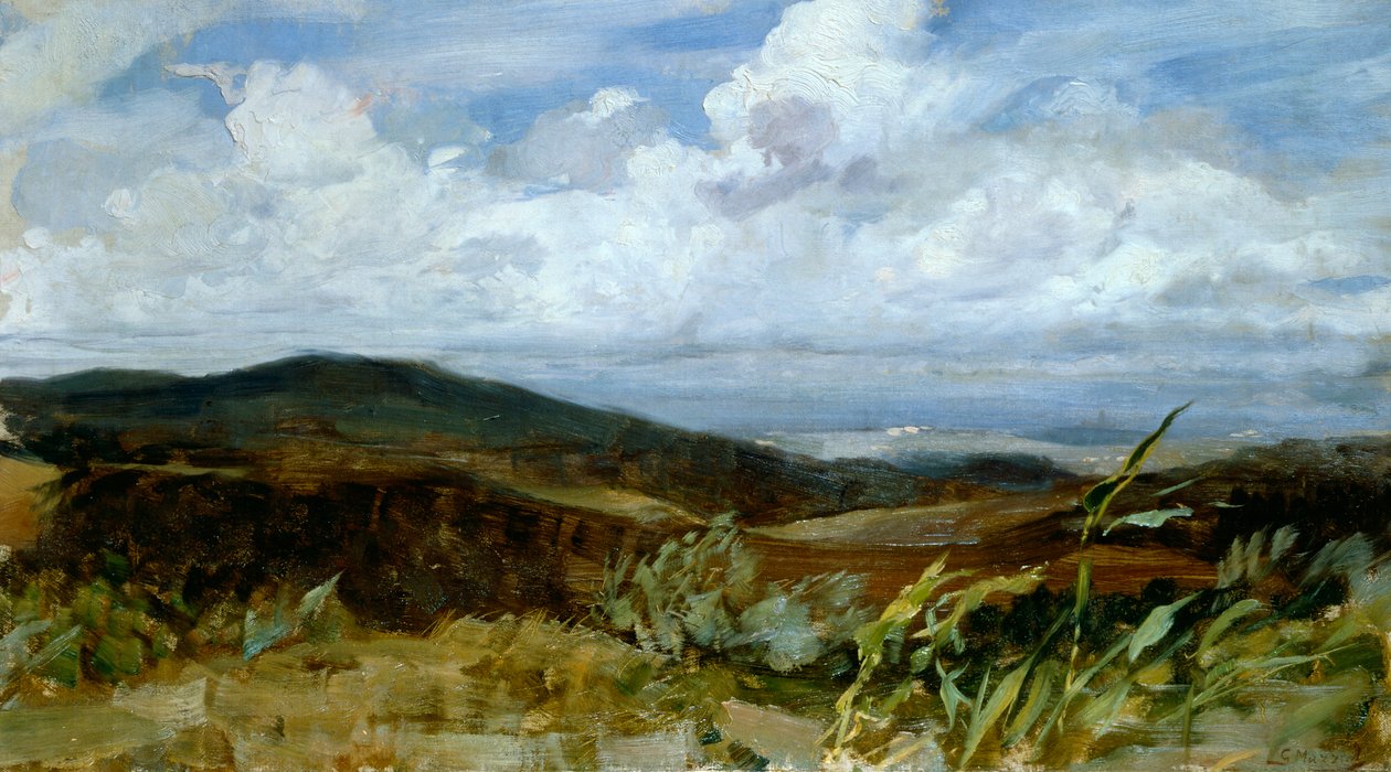 Paisagem por Giovanni Muzzioli (1854-1894), óleo sobre tela, 39x68 cm de Giovanni Muzzioli