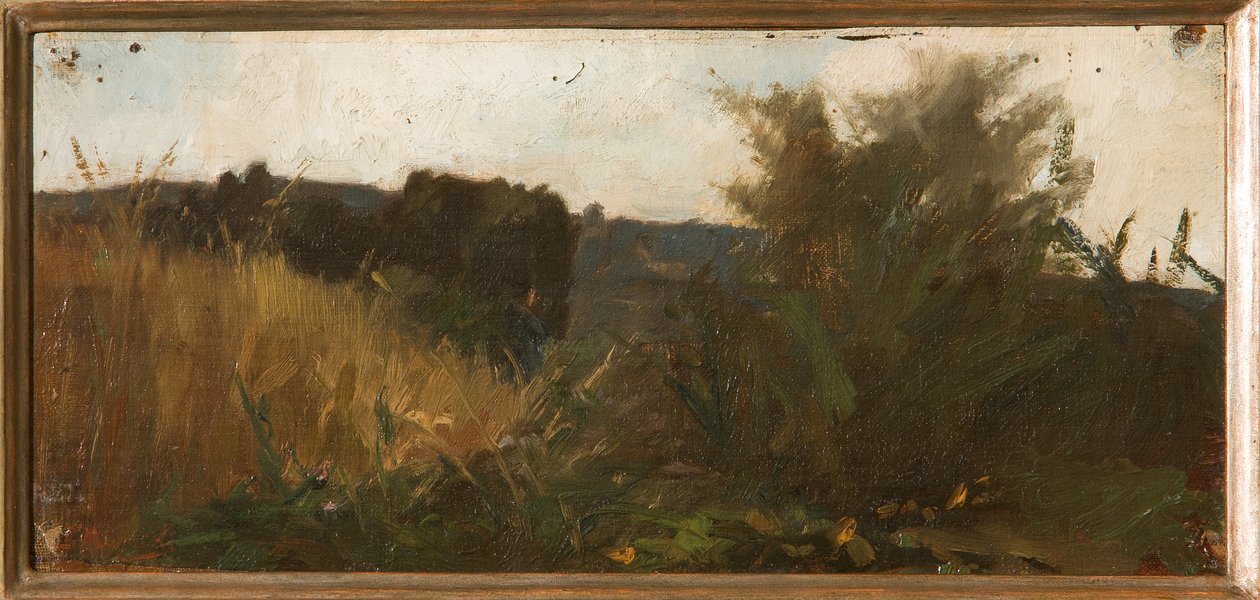 Estudo da Vegetação (pintura a óleo de painel) de Giovanni Muzzioli
