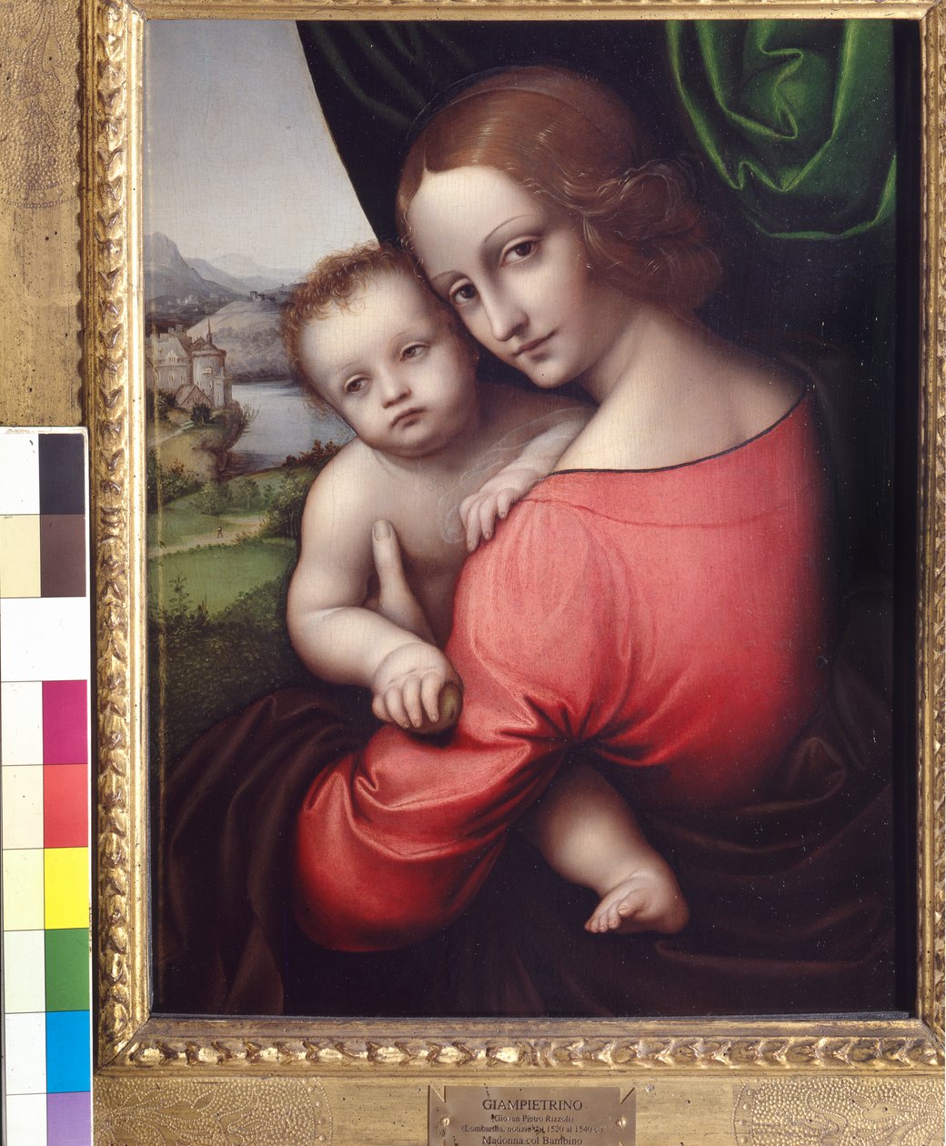 Madonna and Child (Nossa Senhora da Maçã), c.1525 (óleo no painel) de Giovanni Pietro Rizzoli Giampietrino