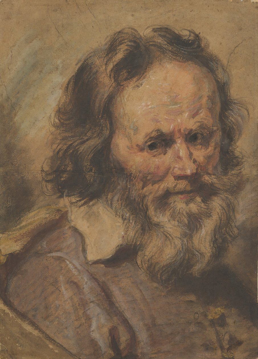 Cabeça de um homem barbudo, 1600-1630. de Giovanni Serodine