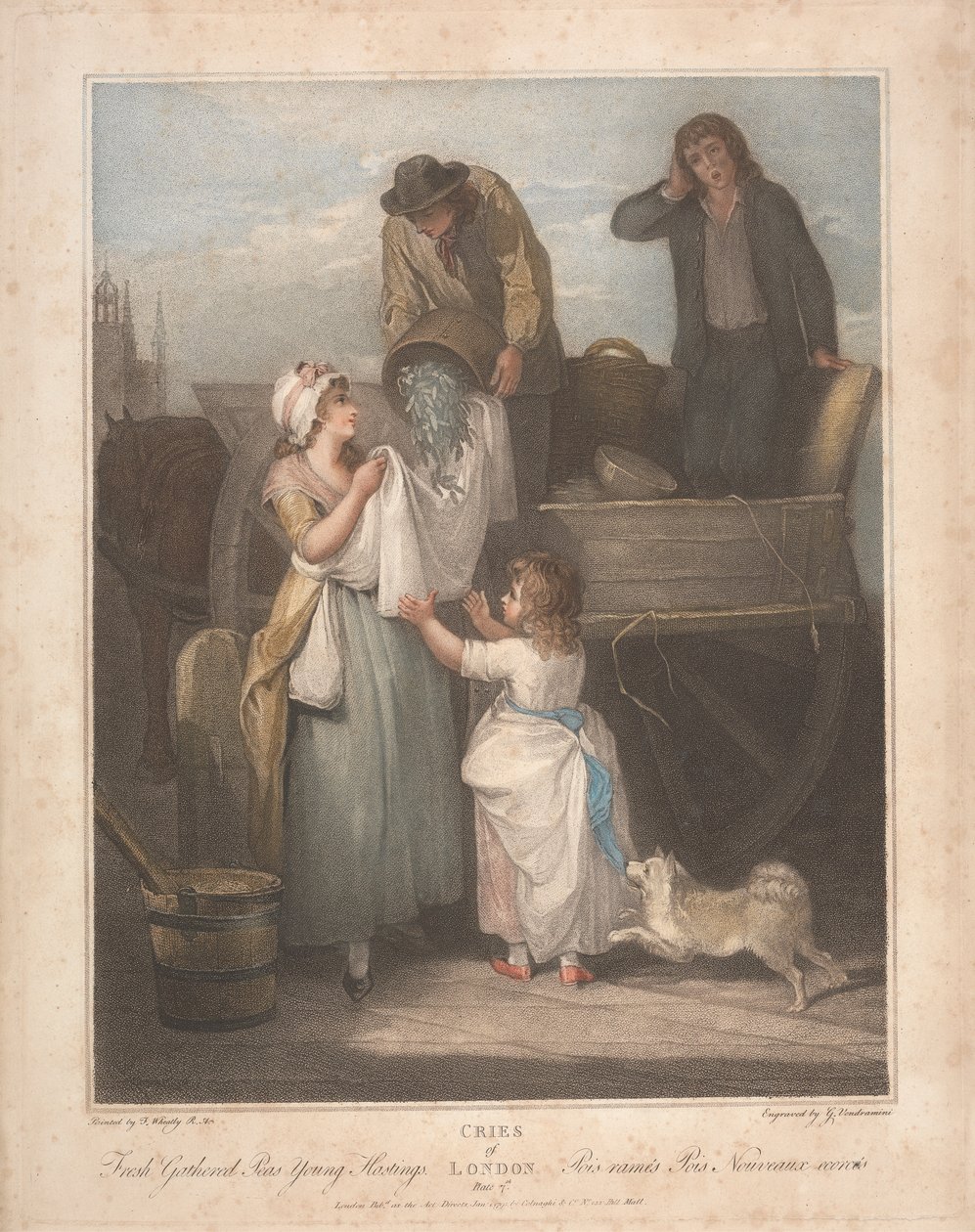 Ervilhas frescas colhidas, Young Hastings de Giovanni Vendramini