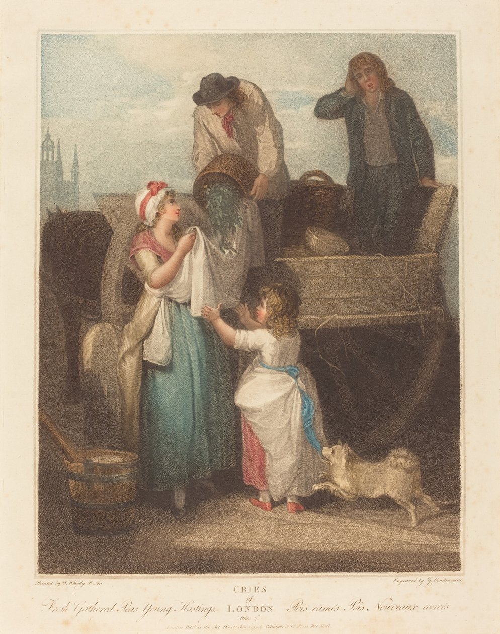 Ervilhas frescas colhidas, jovens Hastings de Giovanni Vendramini after Francis Wheatley