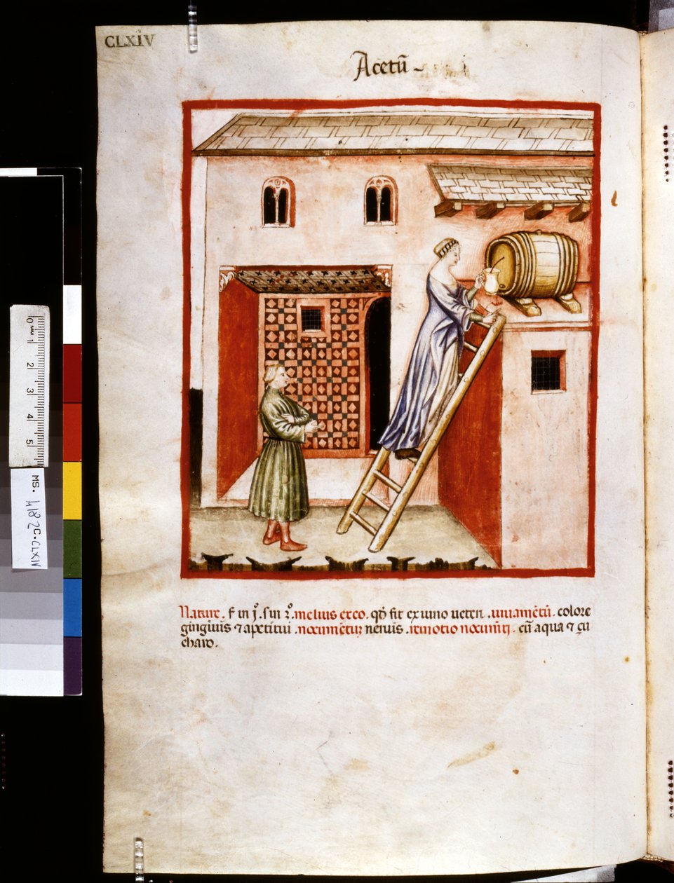 Theatrum sanitatis de Ububchasym de Baldach: "Acetum", primeira década do século XIV (miniatura) de Giovannino de