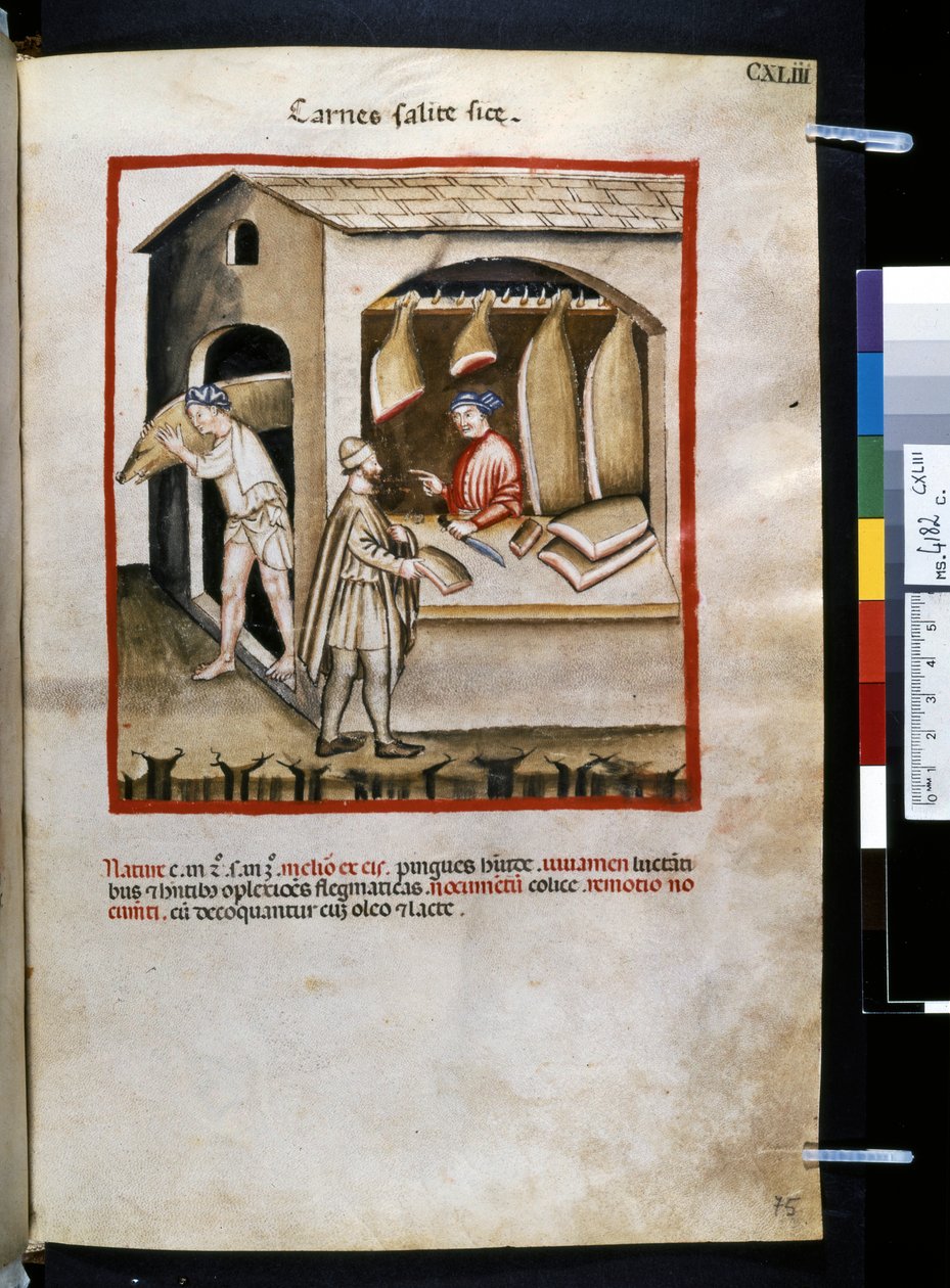 Theatrum sanitatis de Ububchasym de Baldach: "Carnes Salite Si ce", primeira década do século XIV (miniatura) de Giovannino de